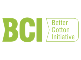 Bsci-Logo